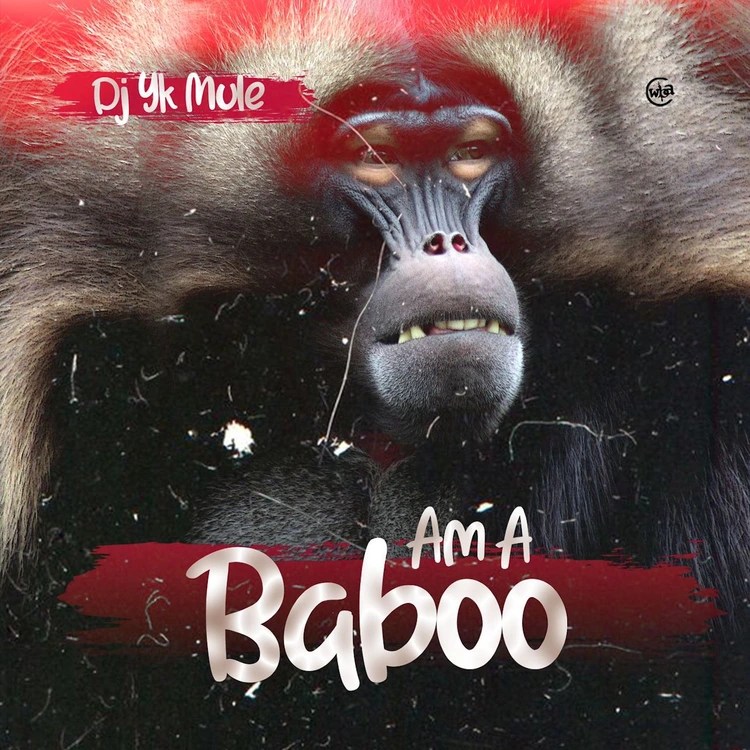 dj yk baboon mp3 download