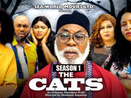 THE CATS (SEASON 1) {NEW NIGERIAN MOVIE} -2023 LATEST NIGERIAN NOLLYWOOD MOVIE