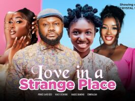 LOVE IN A STRANGE PLACE - DAVID OSEI, NANCY DESMOND, ANADOO DIAMOND  - NOLLYWOOD NIGERIAN MOVIE 2024
